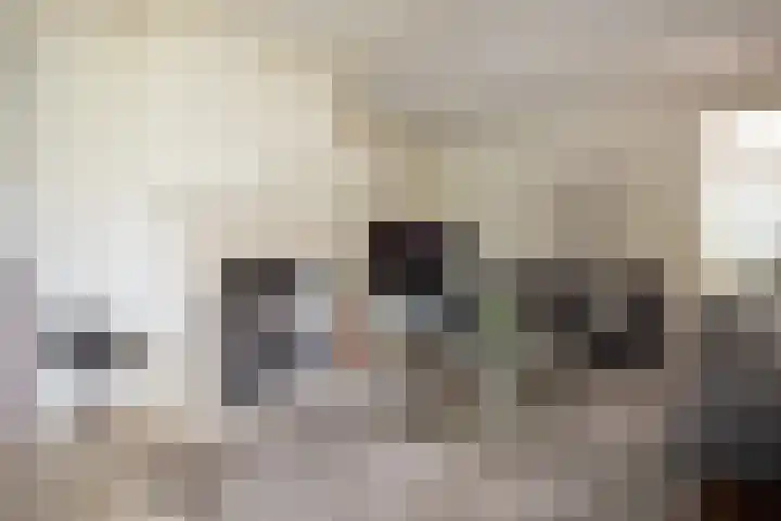 De Wingerd 9 Wierden thumbnail 39