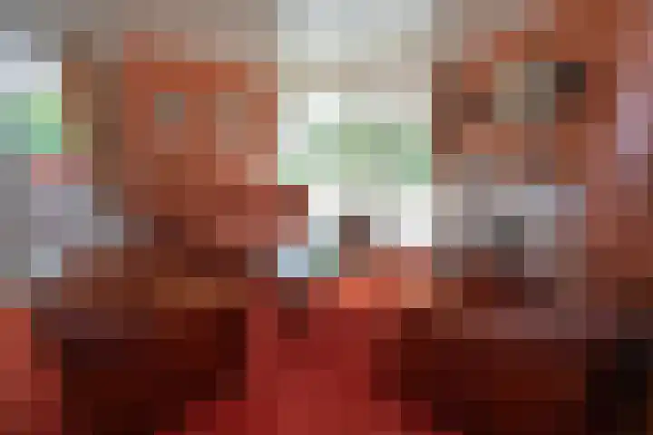 De Wingerd 9 Wierden thumbnail 47