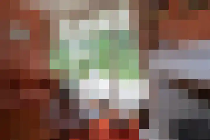 De Wingerd 9 Wierden thumbnail 48