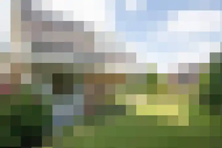 De Wingerd 9 Wierden thumbnail 5