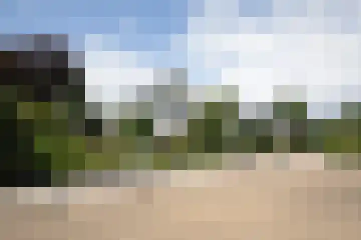 De Wingerd 9 Wierden thumbnail 6