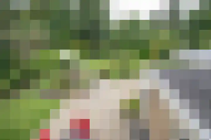 De Wingerd 9 Wierden thumbnail 69