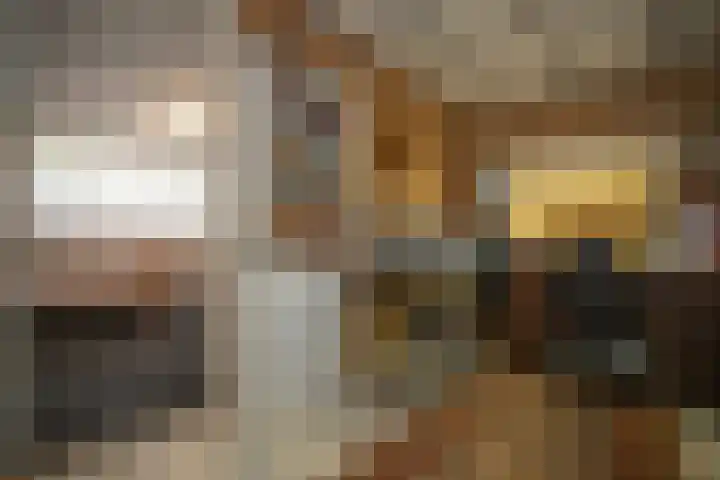 De Wingerd 9 Wierden thumbnail 79