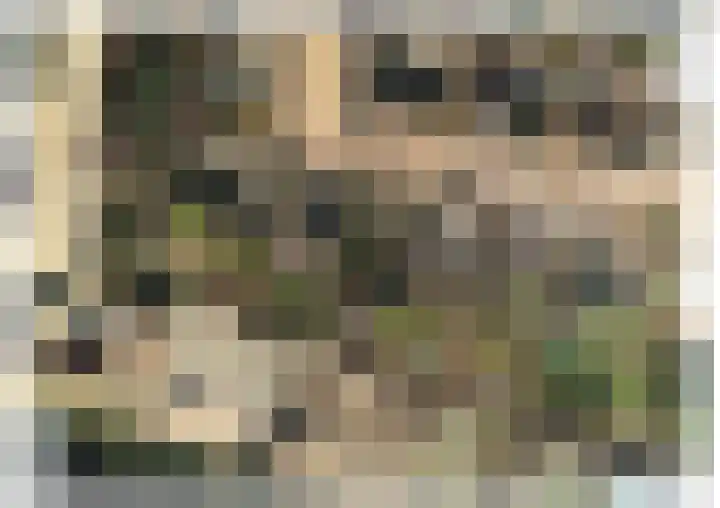 De Wingerd 9 Wierden thumbnail 87