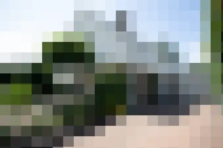 De Wingerd 9 Wierden thumbnail 9
