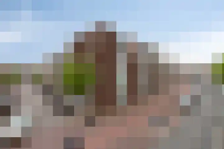 De Witstraat 59 Haarlem thumbnail 31