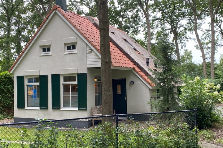 De Witte Bergen 1 in IJhorst foto