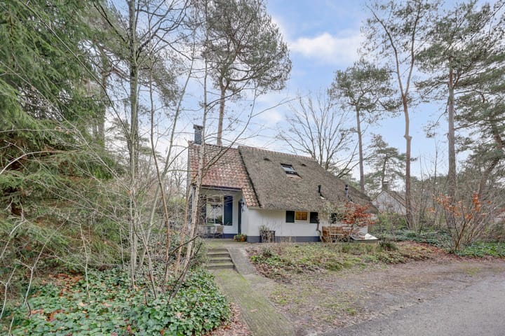 Foto van woning De Witte Bergen 46, IJhorst