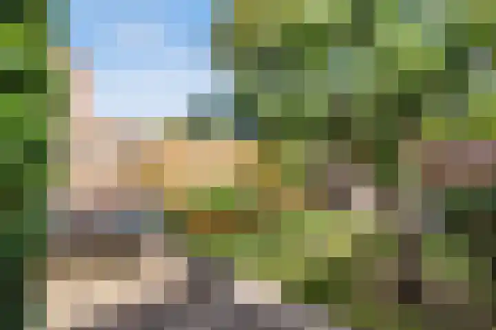 De witte Emile 16 Wateringen thumbnail 17