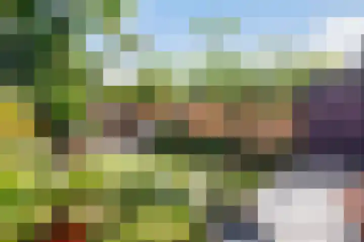 De witte Emile 16 Wateringen thumbnail 19