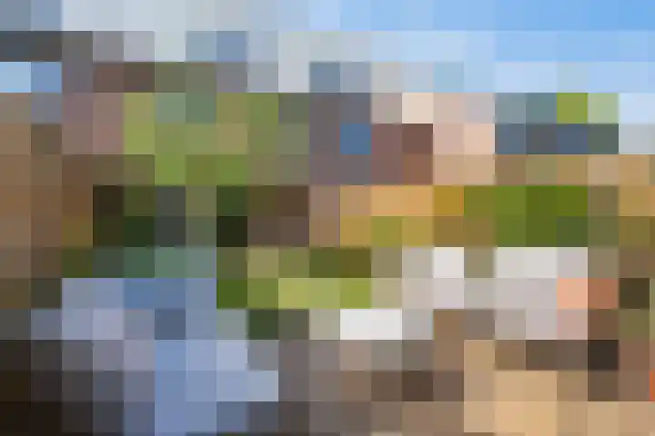 De witte Emile 16 Wateringen thumbnail 20