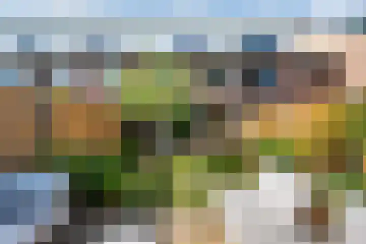 De witte Emile 16 Wateringen thumbnail 21
