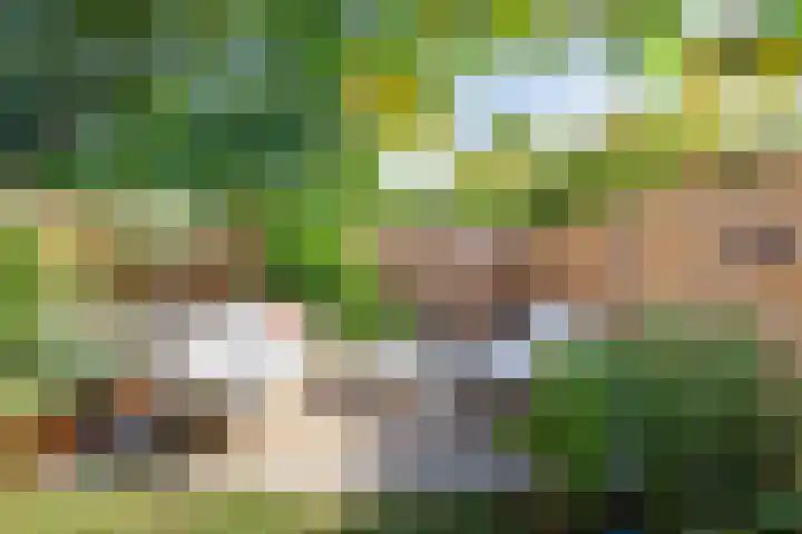 De witte Emile 16 Wateringen thumbnail 4