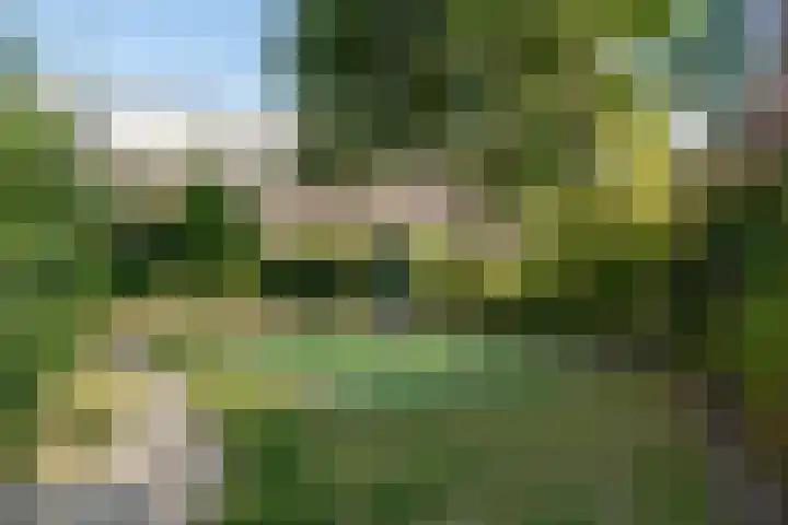 De witte Emile 16 Wateringen thumbnail 48