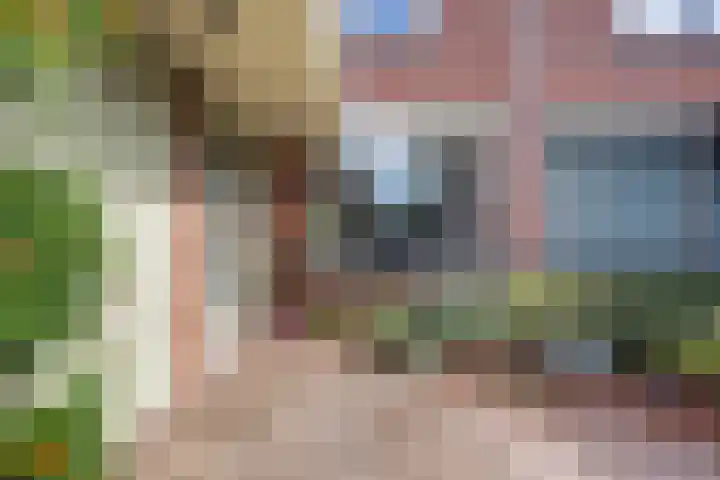 De witte Emile 16 Wateringen thumbnail 6