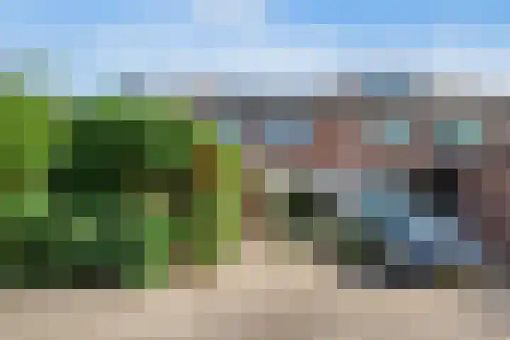 De witte Emile 16 Wateringen thumbnail 62