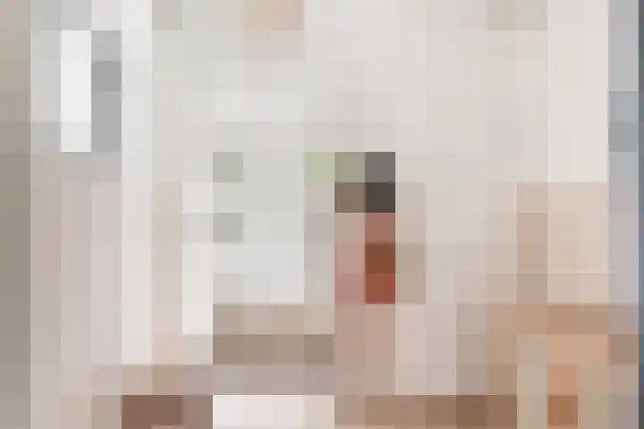 De witte Emile 16 Wateringen thumbnail 8