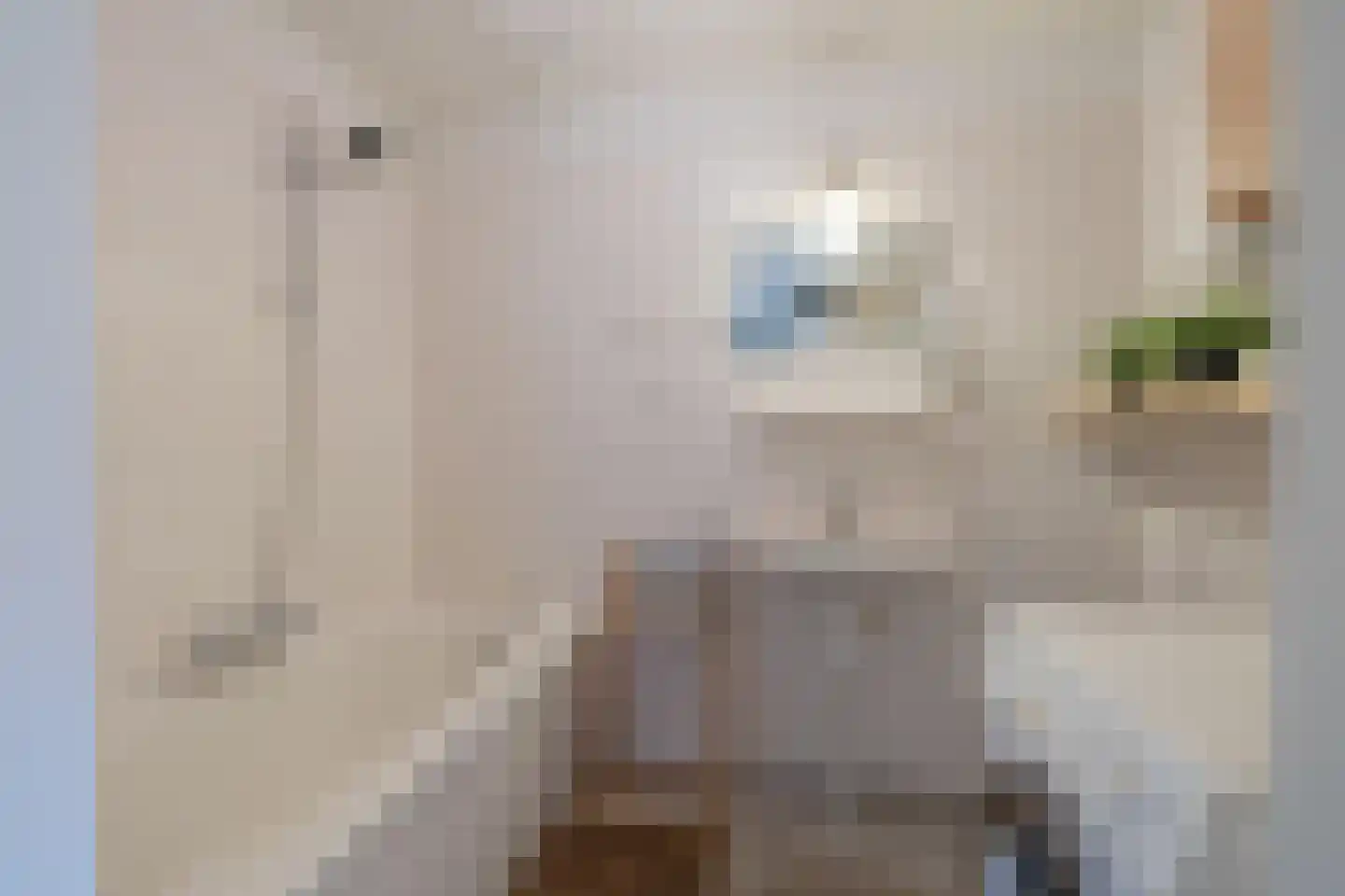 De Wittenkade 123 Amsterdam thumbnail 26