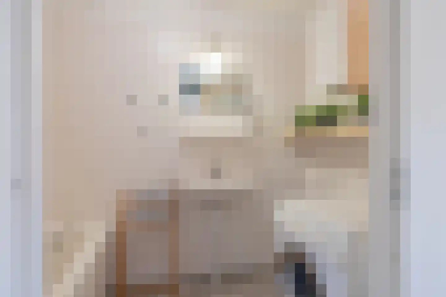 De Wittenkade 123 Amsterdam thumbnail 28
