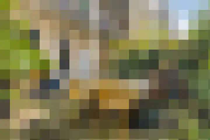 De Wittenkade 134 3 Amsterdam thumbnail 13