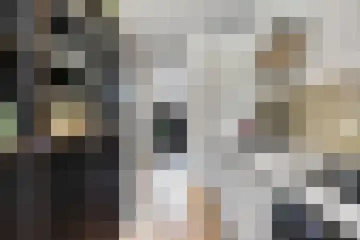 De Wittenkade 134 3 Amsterdam thumbnail 14