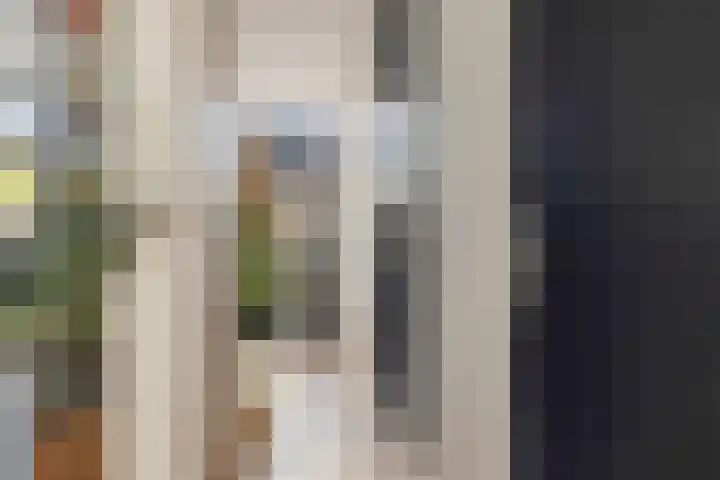 De Wittenkade 134 3 Amsterdam thumbnail 23