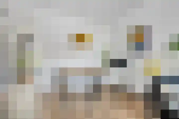 De Wittenkade 134 3 Amsterdam thumbnail 7