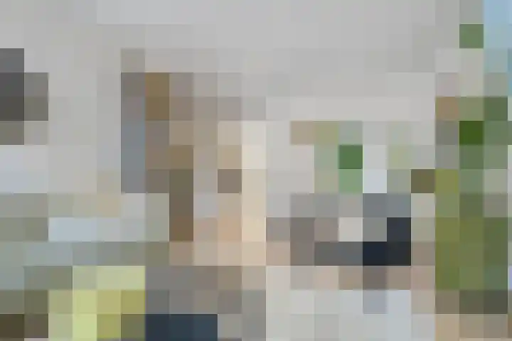 De Wittenkade 134 3 Amsterdam thumbnail 8