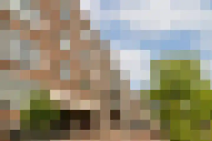 De Wittenkade 30 B Amsterdam thumbnail 21