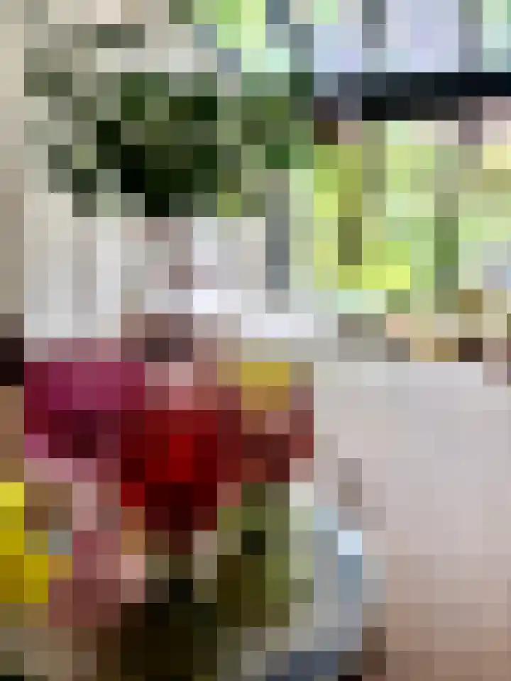 De Wittenkade 95 H Amsterdam thumbnail 10