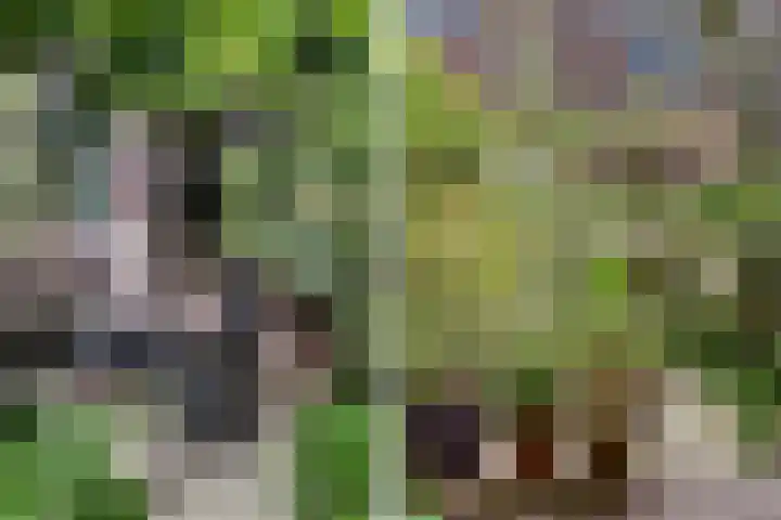 De Wittenkade 95 H Amsterdam thumbnail 15