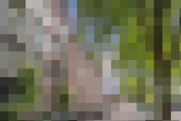 De Wittenkade 95 H Amsterdam thumbnail 36