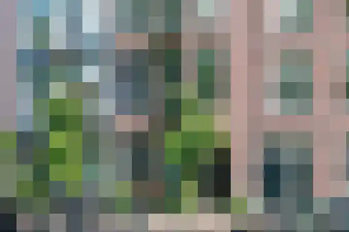 De Wittenkade 95 H Amsterdam thumbnail 37