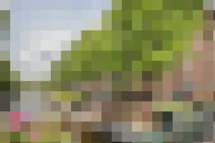 De Wittenkade 95 H Amsterdam thumbnail 39