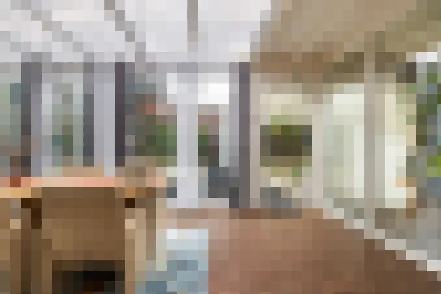 De Woerd 19 Emmen thumbnail 11