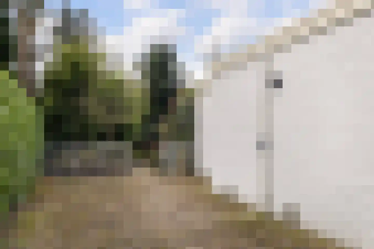 De Woerd 19 Emmen thumbnail 25