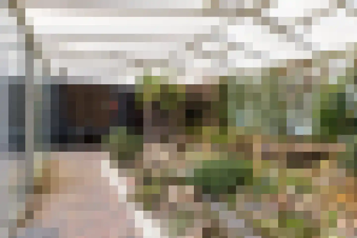 De Woerd 19 Emmen thumbnail 30