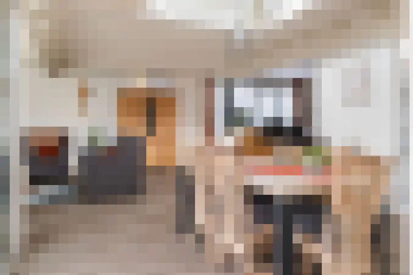 De Woerd 19 Emmen thumbnail 7