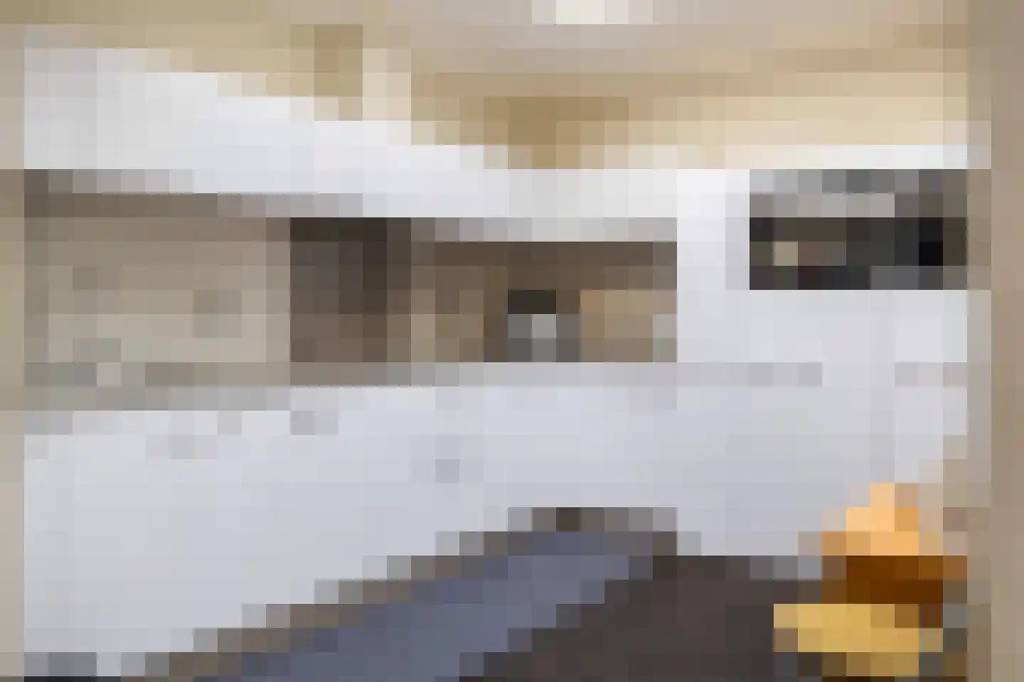 De Woerd 19 Emmen thumbnail 9