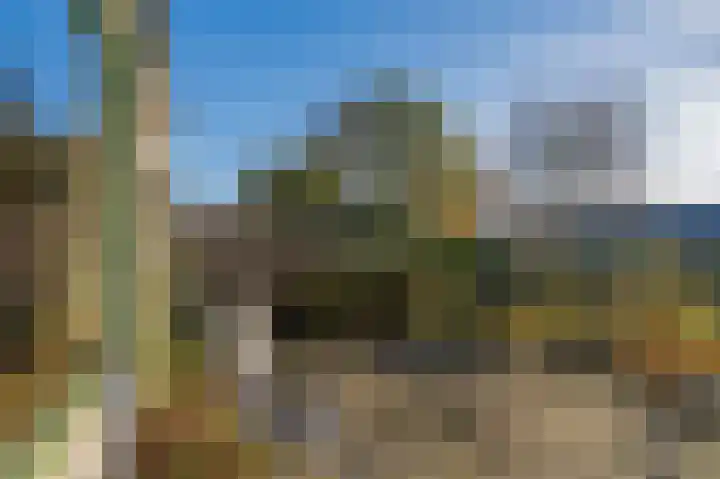 De Wouden 27 Assen thumbnail 31