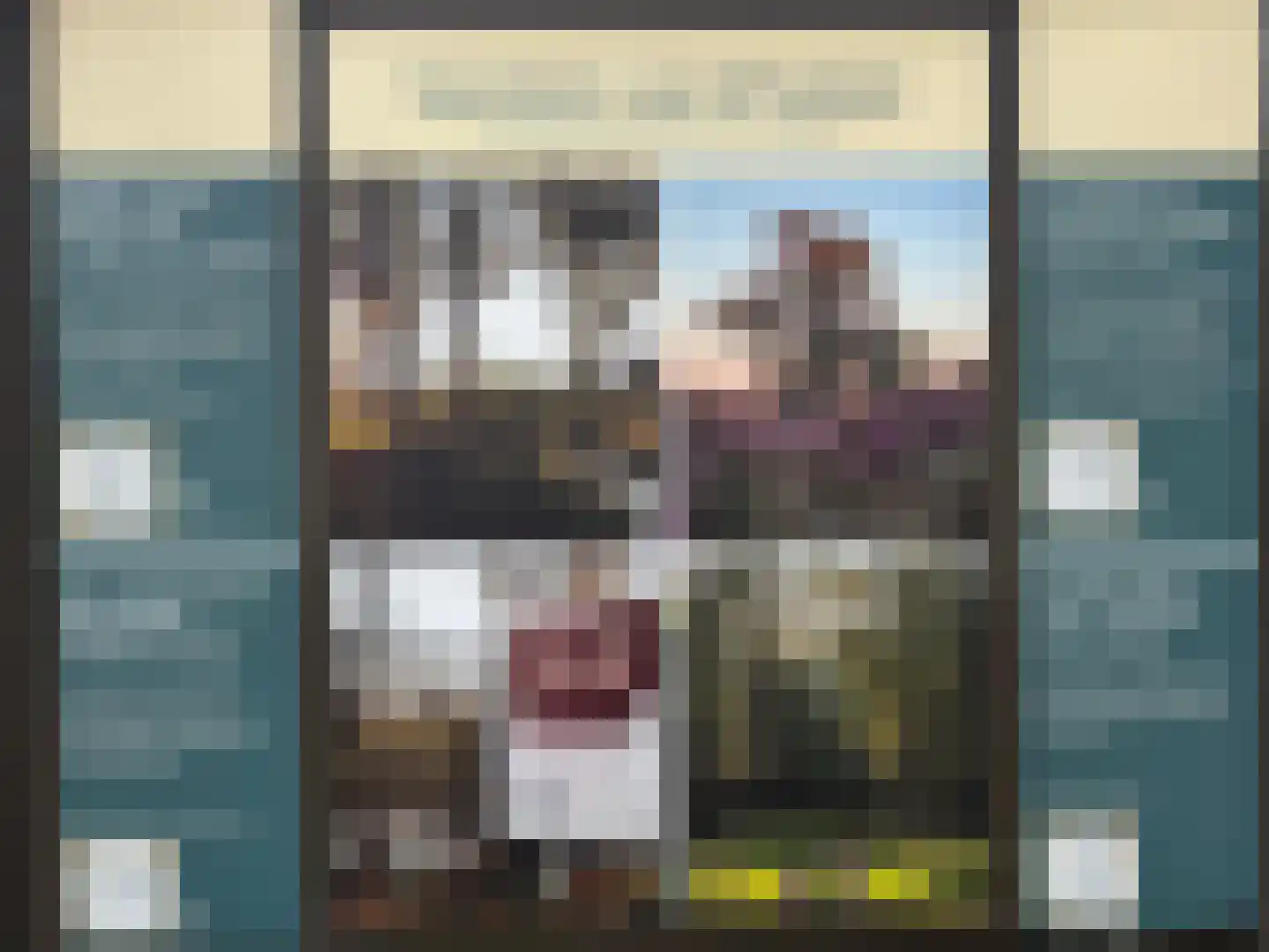 De Wouden 27 Assen thumbnail 8