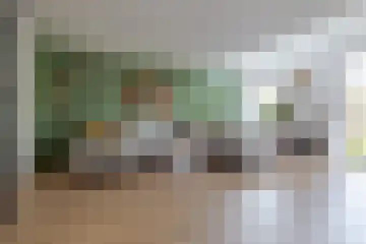 De Wouden 300 Assen thumbnail 14