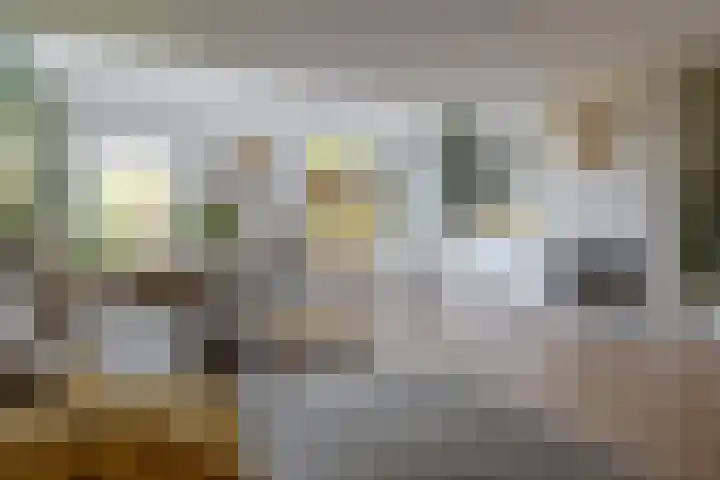 De Wouden 300 Assen thumbnail 15