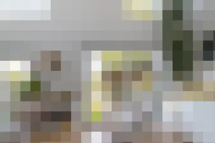 De Wouden 300 Assen thumbnail 20