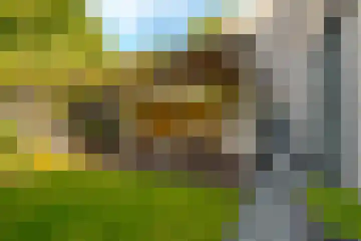 De Wouden 300 Assen thumbnail 22