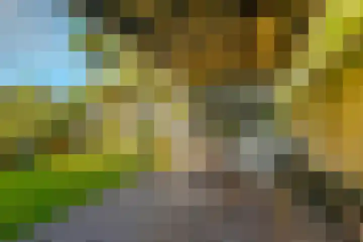 De Wouden 300 Assen thumbnail 23