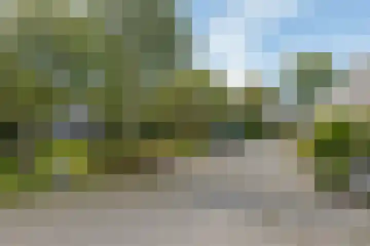 De Wouden 300 Assen thumbnail 4