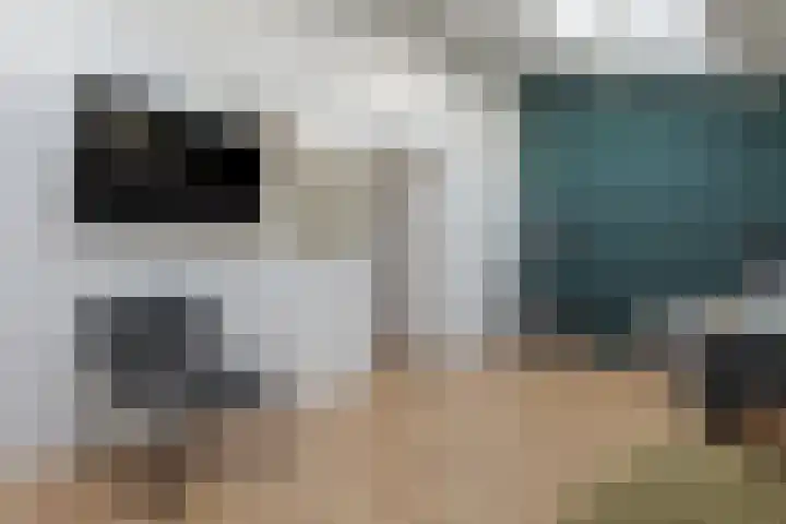 De Wouden 300 Assen thumbnail 45