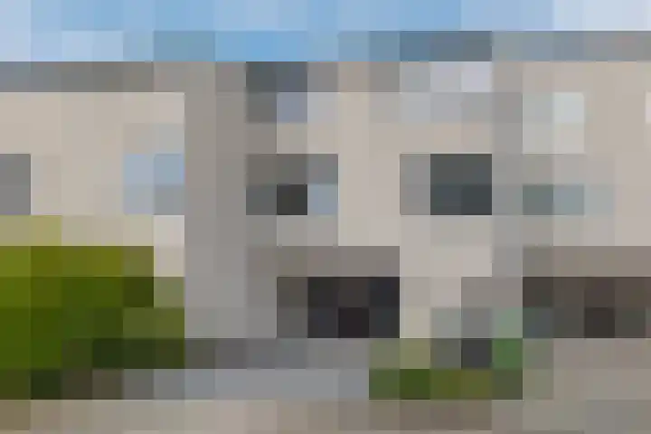 De Wouden 300 Assen thumbnail 6