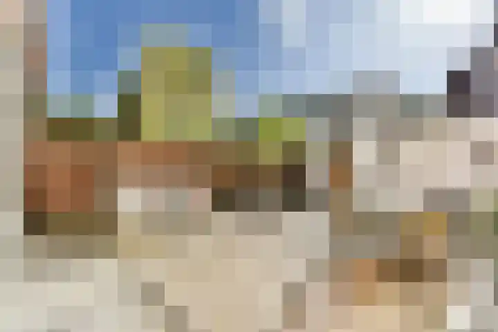 De Wulp 32 Vriezenveen thumbnail 24